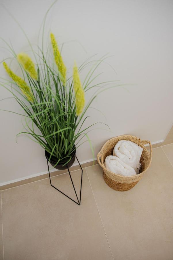 Modern Apartment In Timisoara Luaran gambar