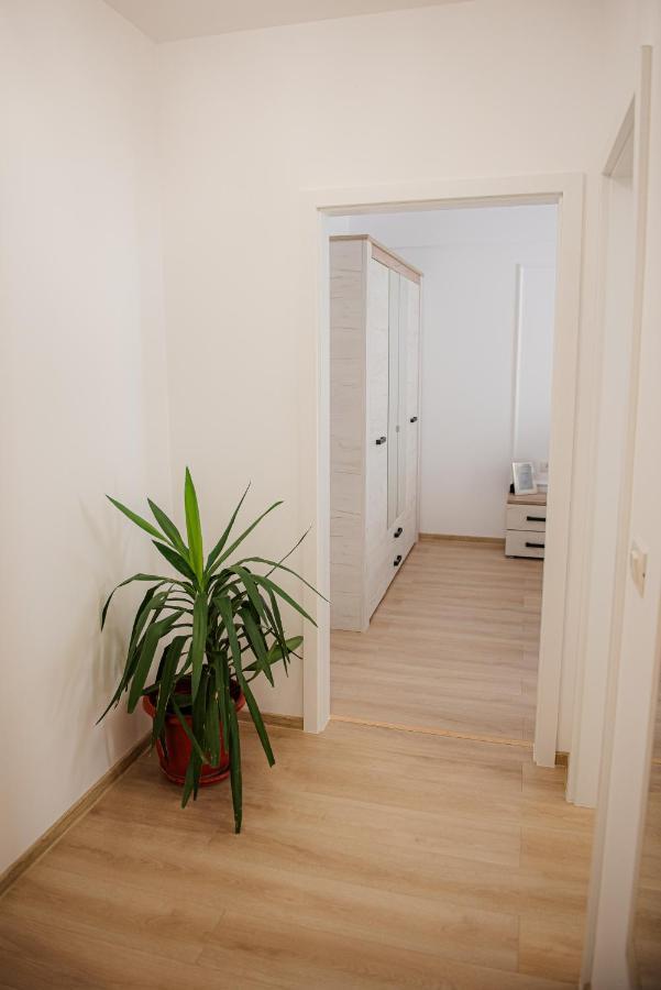 Modern Apartment In Timisoara Luaran gambar