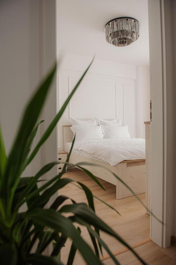 Modern Apartment In Timisoara Luaran gambar